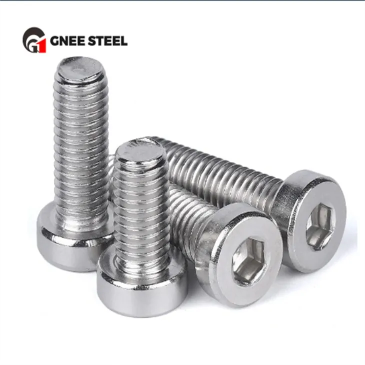 SS201 SS304 SS316 Low Head sexkantsboltar