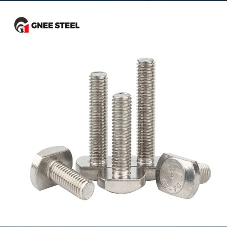 Stainless Steel A2-70 A4-80 T Bolts