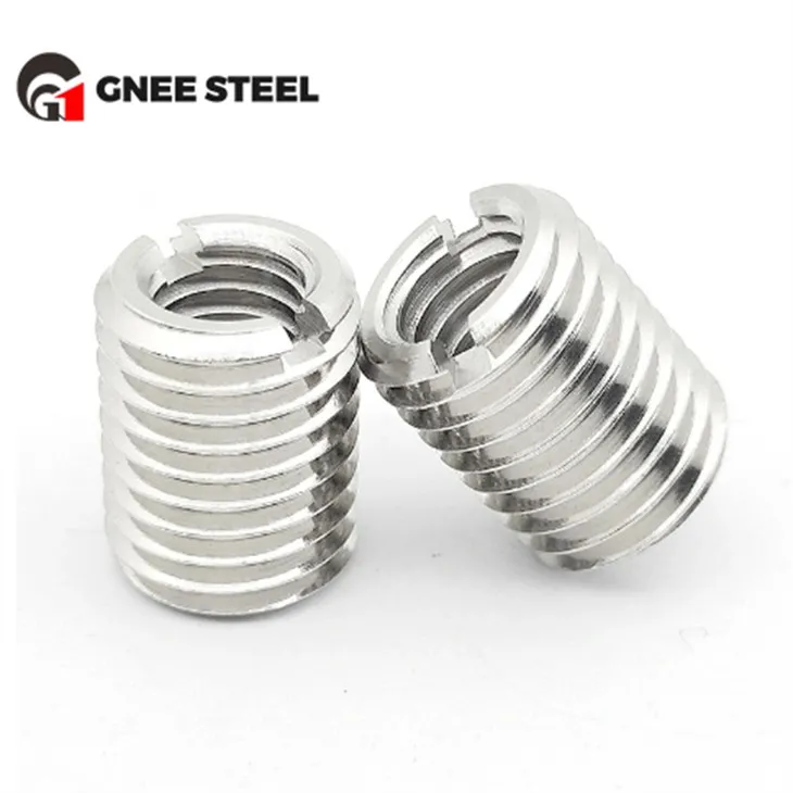 Ryðfrítt stál SS304 SS316 innskotshnetur